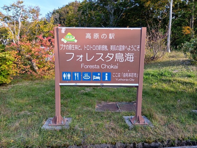 241017155439646.JPG