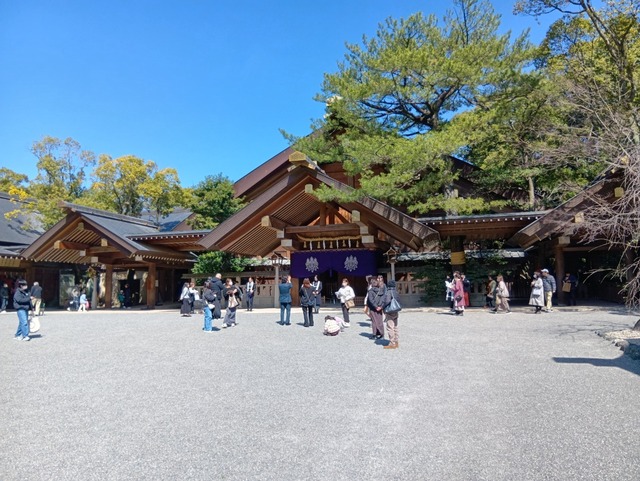 250318105340489.JPG
