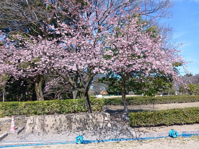 250318121810087.JPG