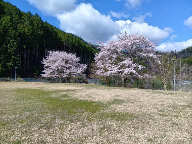 250415085249977.JPG