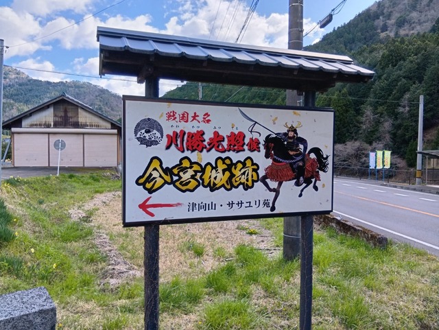 250415091305525.JPG