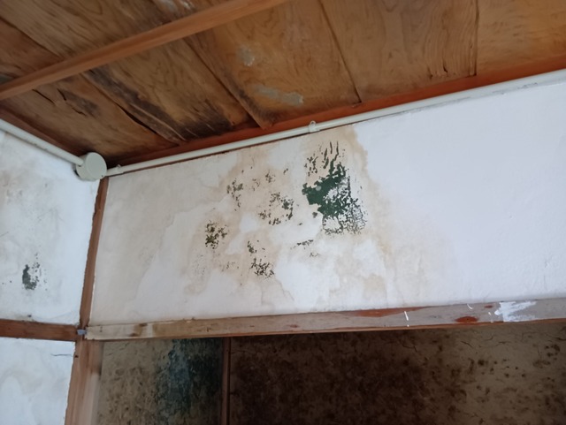 250421085804353.JPG