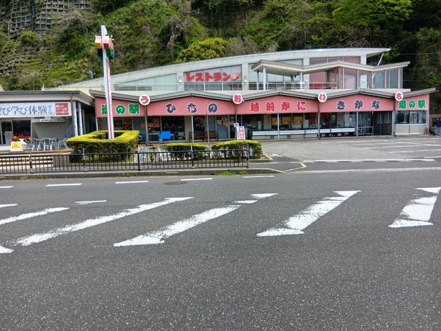 250422124837480.JPG