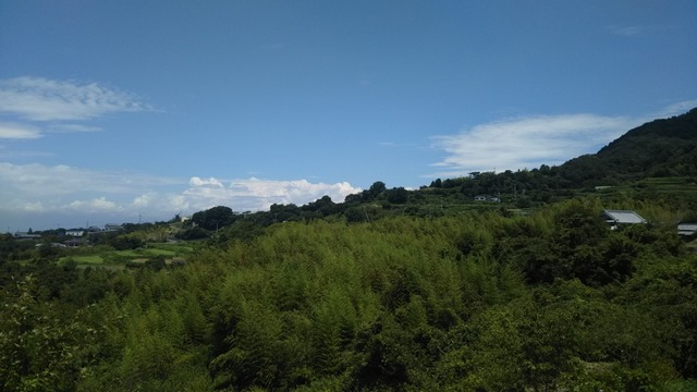 DSC_0885.JPG