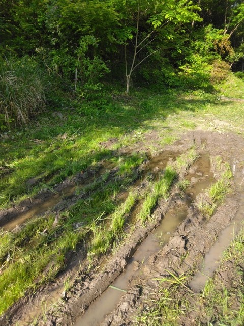 IMG_20220507_073940~3.jpg