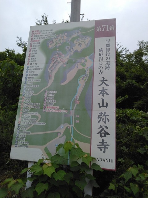 IMG_20220707_051213~3.jpg