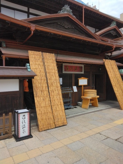IMG_20220707_110347~3.jpg