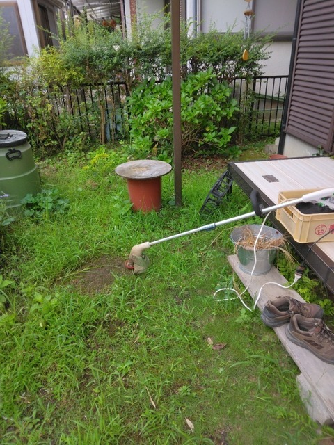 IMG_20220901_075545~3.jpg