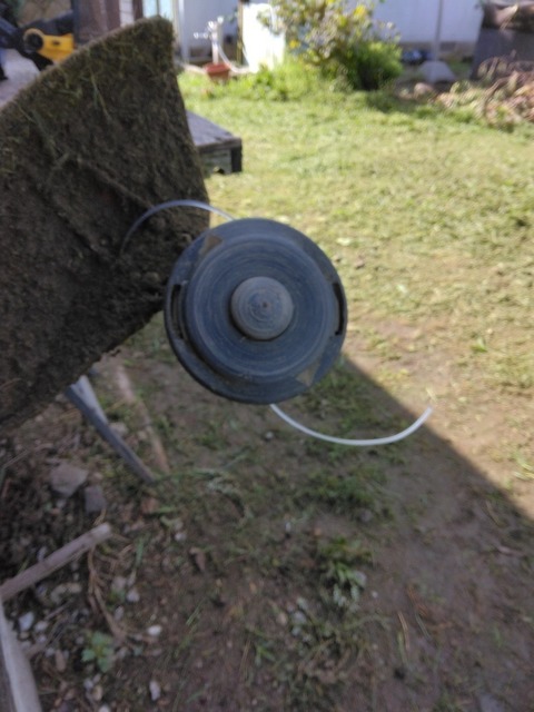 IMG_20220902_084210~3.jpg