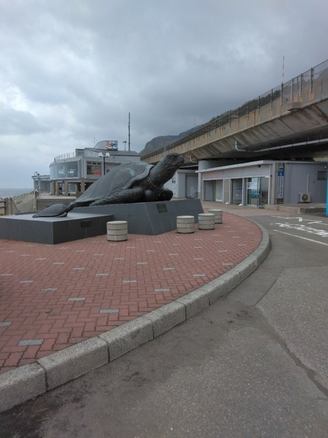 IMG_20230408_095223~3.jpg