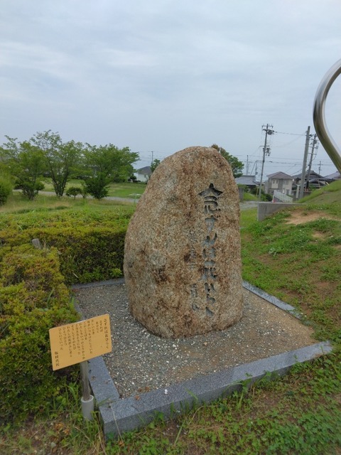 IMG_20230630_094425~3.jpg