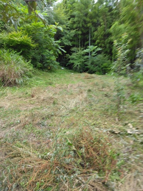 IMG_20230705_075618~3.jpg