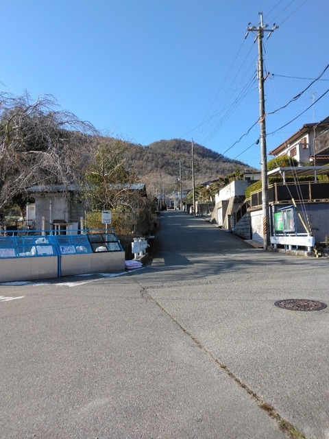 IMG_20240129_094038~3.jpg