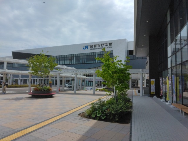 IMG_20240622_094927~3.jpg